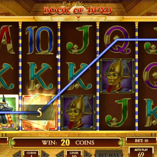 Mobile application of Book of Dead slot: the main features